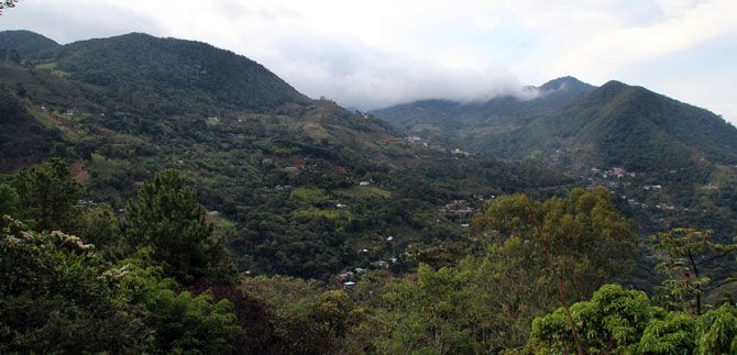 Gobernantes de Cabildos ind�genas de Cali se posesionan este domingo