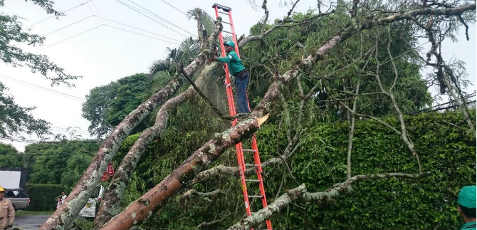 Cale�os deben estar alerta ante lluvias y posibles deslizamientos de tierra