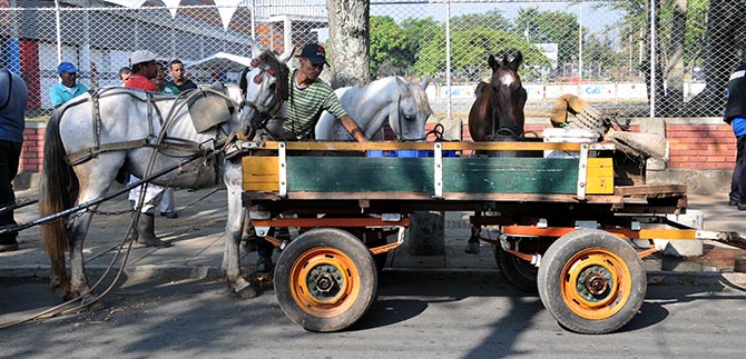 Carretilleros deben actualizar sus datos