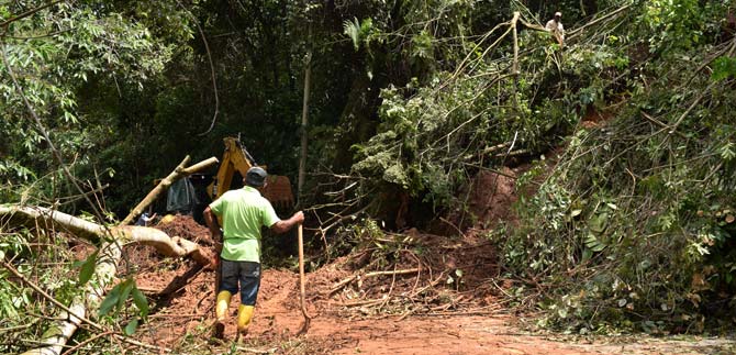 La borrasca de mayo sacudi a Felidia y La Leonera