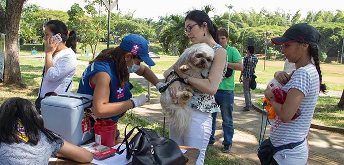 Administraci�n Municipal trabaja por el bienestar de los animales