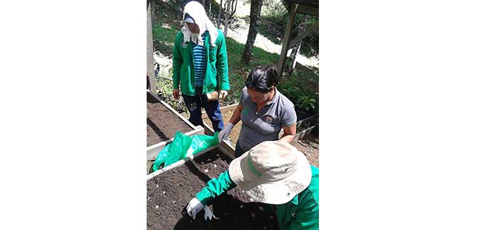 Realizan planes de conservacin en el predio El Danubio