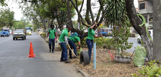 En Avenida Ciudad de Cali, Obras son Amores por el Medio Ambiente