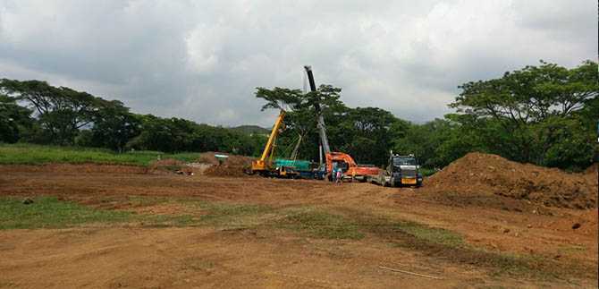 Exitoso traslado de samanes en el sur de Cali