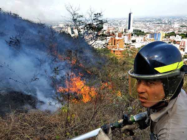 La comunidad puede evitar los incendios forestales: consejos en esta �poca de calor
