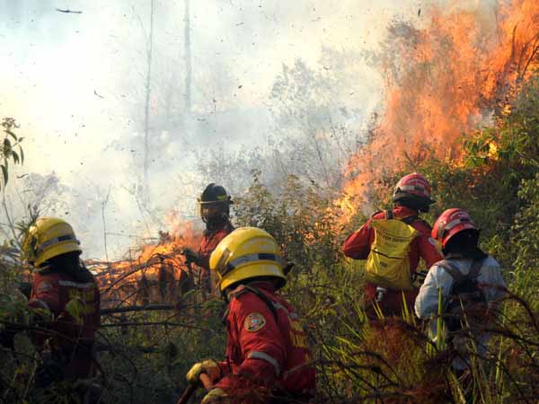 Organismos de socorro y la Alcald�a, trabajan por evitar nuevos  incendios en el oeste cale�o