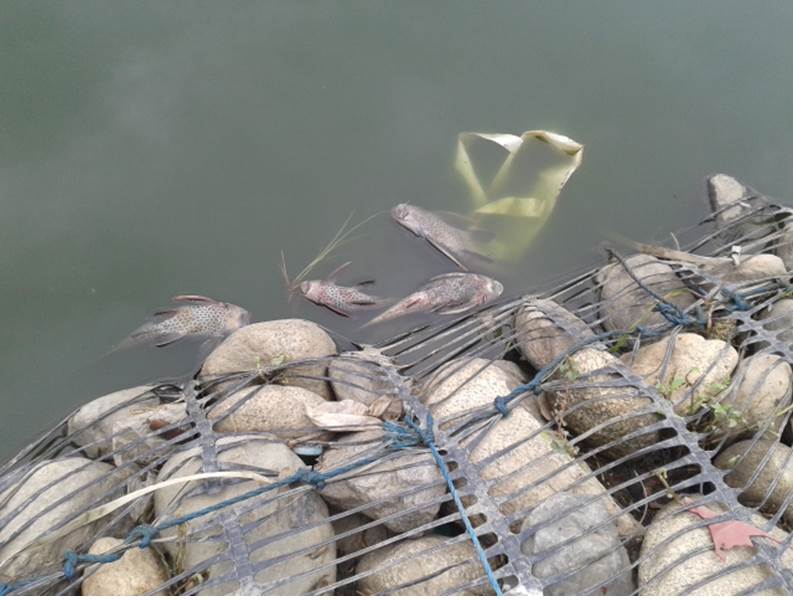 Resultados de calidad de agua de Laguna de Charco Azul saldrn en dos semanas