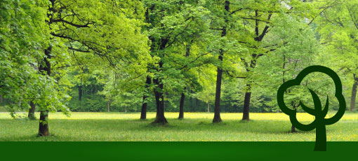 Grupo: Arborizaci�n y Zonas Verdes