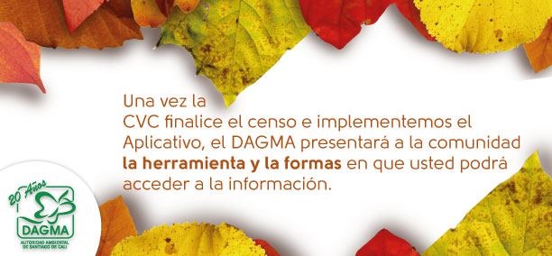 Informes del censo arb�reo