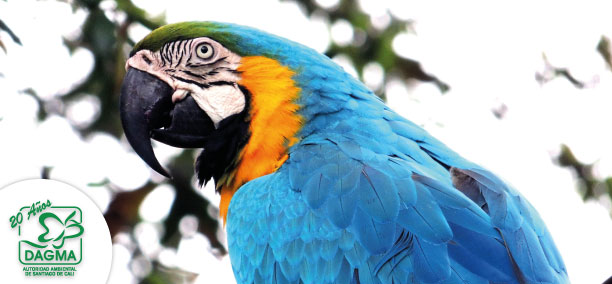 �Sabe d�nde denunciar la tenencia de animales y flora silvestre?