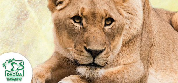 �Conoce la sanci�n por poseer fauna silvestre?