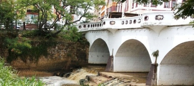 Nutrias que llegaron al r�o Cali se deben dejar tranquilas, dice el Dagma