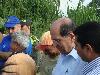 El Alcalde visit� el jarill�n de r�o Cau